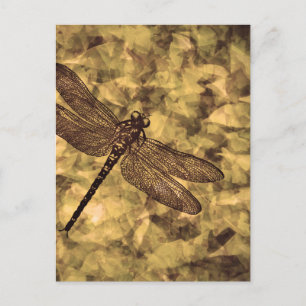 Vintage Dragonfly Art Postcard