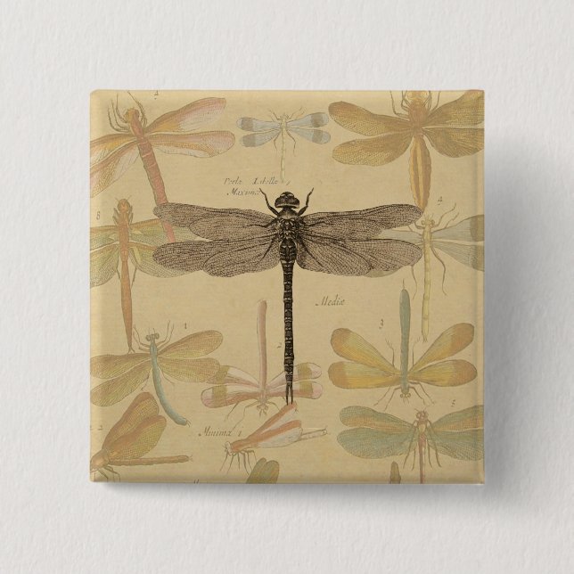 Vintage dragonfly drawing 15 cm square badge (Front)