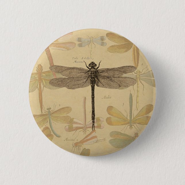 Vintage dragonfly drawing 6 cm round badge (Front)