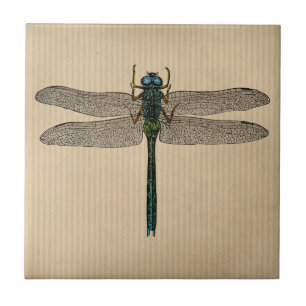 Vintage Dragonfly Illustration Tile