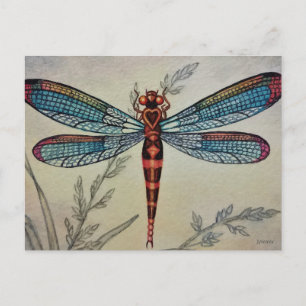 Vintage Dragonfly No. 1 and Grass Watercolor Art Postcard
