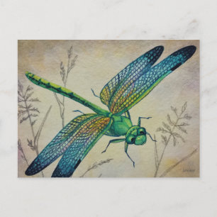 Vintage Dragonfly No. 3 and Grass Watercolor Art Postcard