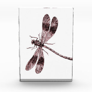 Vintage Dragonfly - Red Photo Block