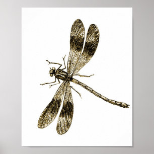 Vintage Dragonfly - Sepia Poster