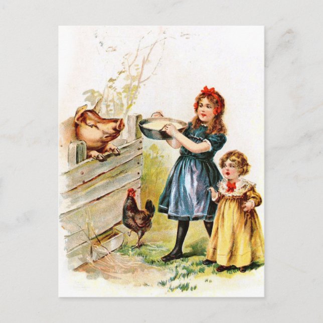Vintage Drawing: Feeding the Pig Postcard (Front)