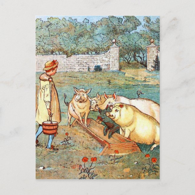 Vintage Drawing: Feeding the Pigs Postcard (Front)