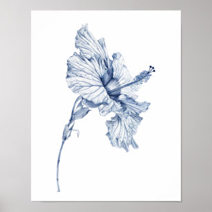 Vintage drawing Hibiscus flower sketch hibiscus , Poster