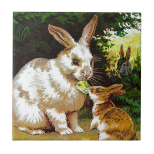 Vintage Drawing: Little Bunnies Tile