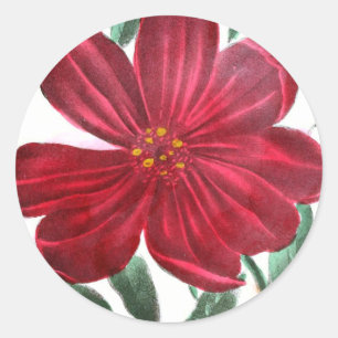 Vintage Drawing: Morning Glory and Peony Classic Round Sticker