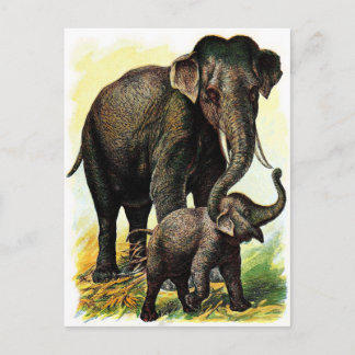 Vintage Drawing: Mother Elephant with Calf Postcard