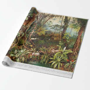 Vintage drawing of tropical forest plants from the wrapping paper