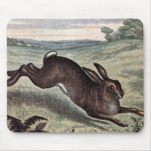 Vintage Drawing: Running Hare in a Field Mouse Mat