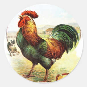 Vintage Drawing: The Rooster Classic Round Sticker