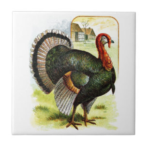 Vintage Drawing: The Turkey Tile