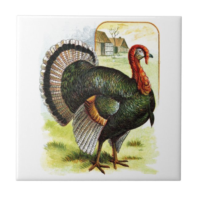 Vintage Drawing: The Turkey Tile (Front)