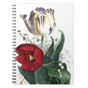 Vintage Drawing: Tulips Notebook