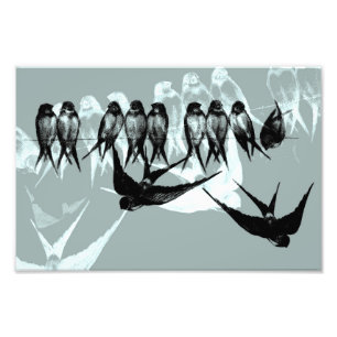 "Vintage Dreams" - Swallows on line Photo Print