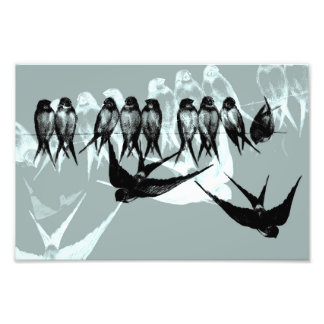 Vintage Dreams - Swallows on line Photo Print