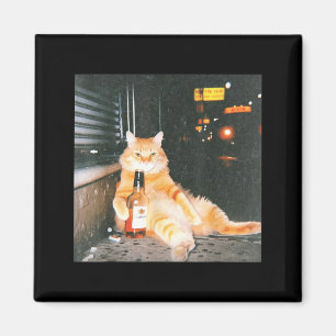 Vintage Drunk Cat Meme In Night Street Funny Cat L Magnet