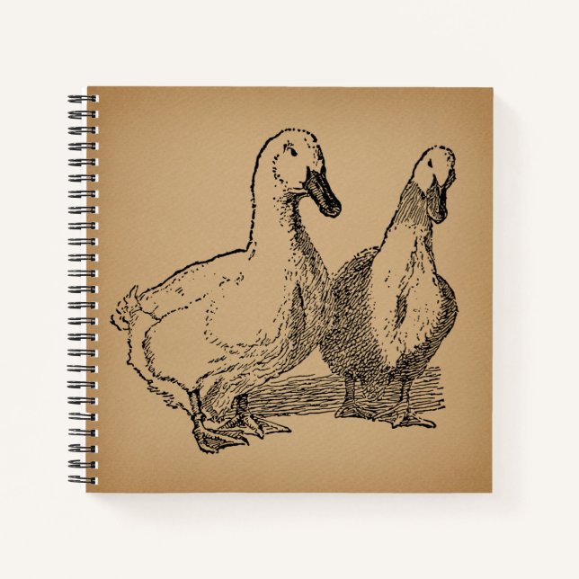 Vintage Duck Art Two Ducks Illustration Notebook (Front)