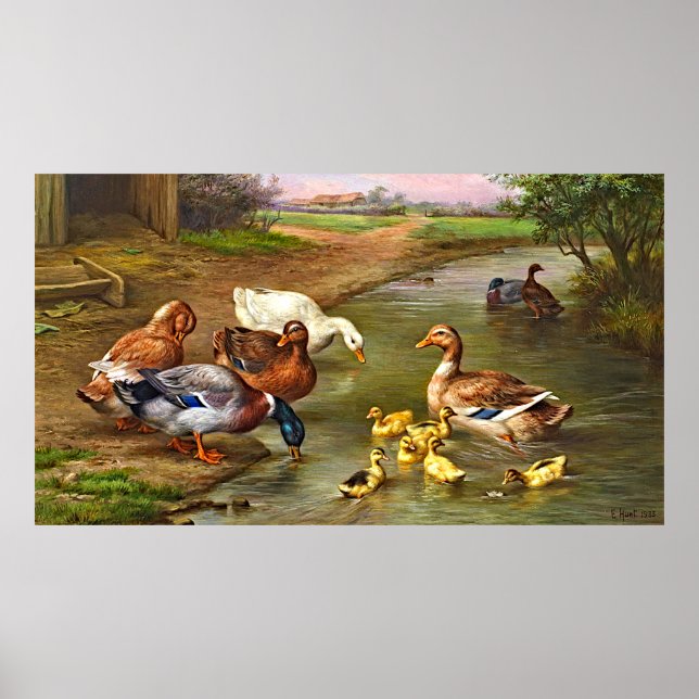 Vintage Ducks Ducklings Farm Animals Poster (Front)
