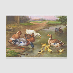 Vintage Ducks Ducklings Farm Animals Tissue Paper