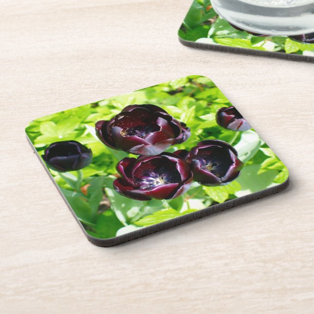 Vintage Dutch Purple Green Black Tulips Photo Coaster (Left Side)