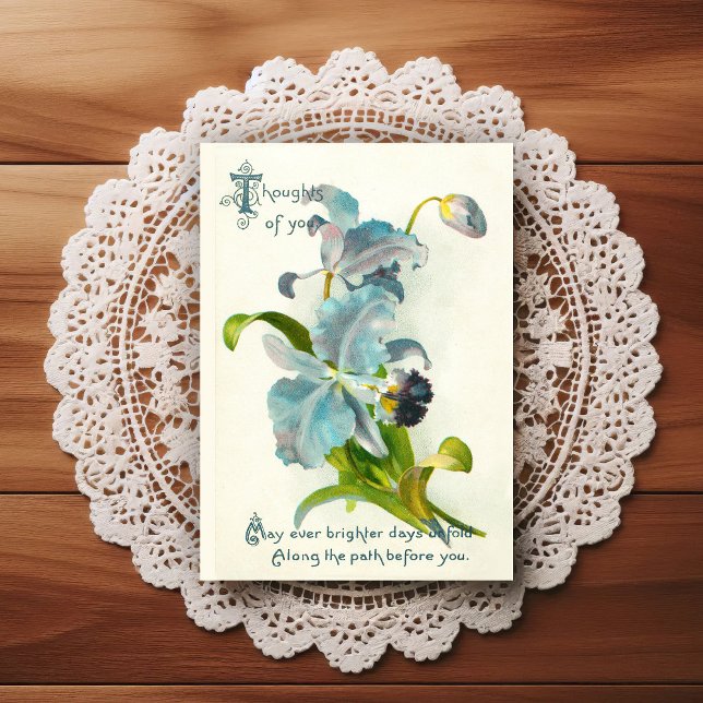 Vintage Early 1900's Birthday Greeting Postcard (Creator Uploaded)