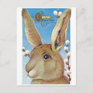 Vintage Easter Big Bunny Postcard