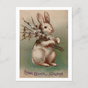 Vintage Easter Bunny Greetings Holiday Postcard