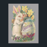 Vintage Easter Bunny Holiday Postcard<br><div class="desc">Nostalgic restored Victorian-era image of white Easter bunny painting an elaborately decorated Easter egg surrounded by daffodils and spring flowers.</div>