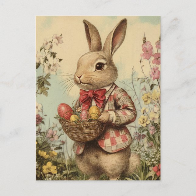 Vintage Easter Bunny In Jacket Postcard (Front)