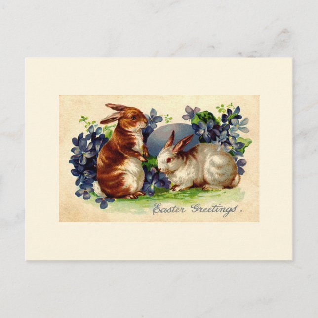 Vintage Easter Bunny Post Card (Front)