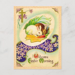 Vintage Easter Bunny Postcard