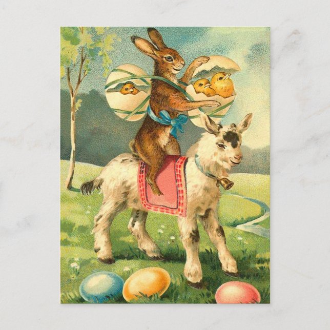 Vintage Easter Bunny Postcard (Front)