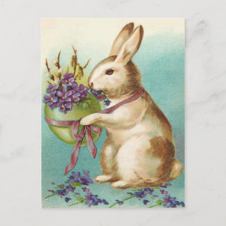Vintage Easter Bunny Postcard