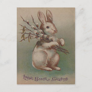 Vintage Easter Bunny Rabbit Holiday Postcard
