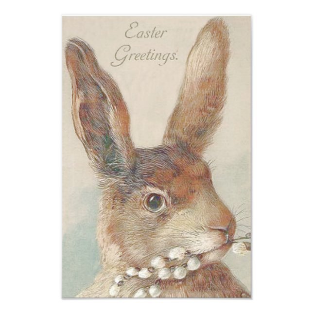 Vintage Easter Bunny Rabbit Photo Print (Front)