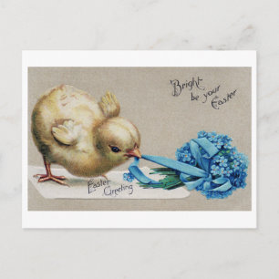 Vintage Easter Chick Bouquet Postcard