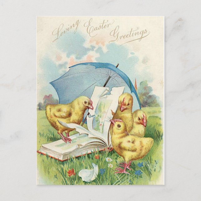 Vintage Easter Chick Holiday postcard (Front)