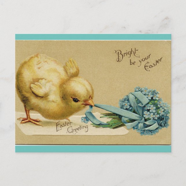 Vintage Easter Chick Holiday Postcard (Front)