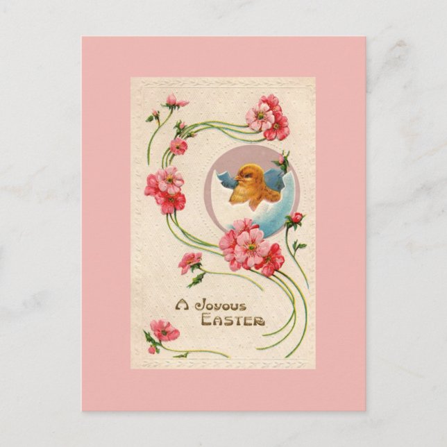 Vintage Easter Chick Postcard (Front)