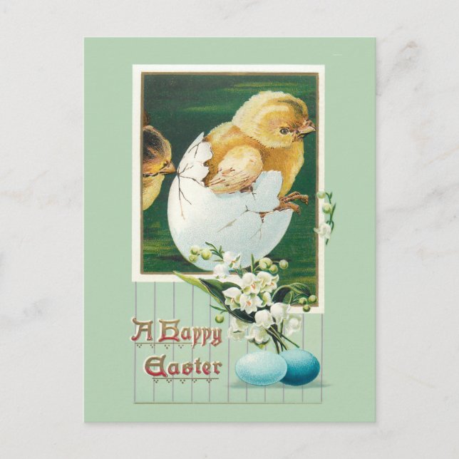 Vintage Easter Chicks and Greeting Postcard (Front)