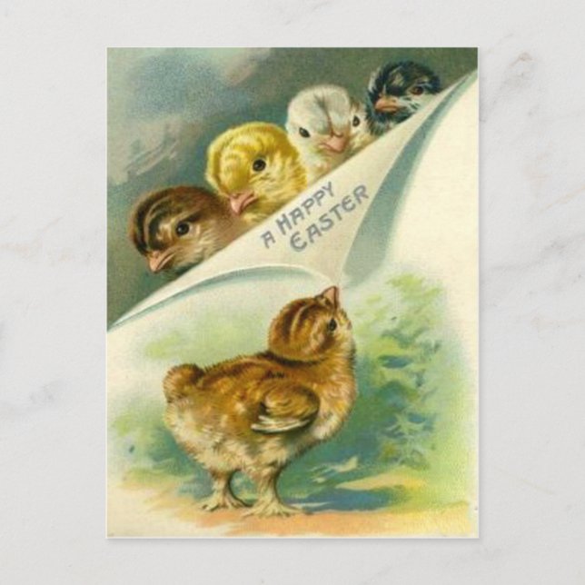 Vintage Easter Chicks Easter Card (Front)