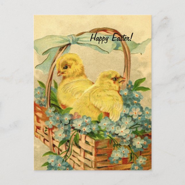 Vintage Easter Chicks Holiday Postcard (Front)
