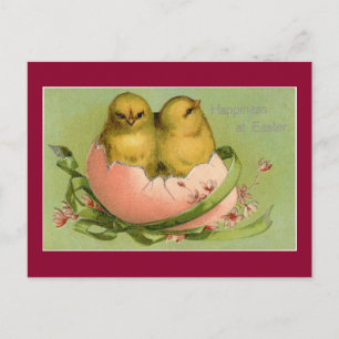 Vintage Easter Chicks Holiday Postcard