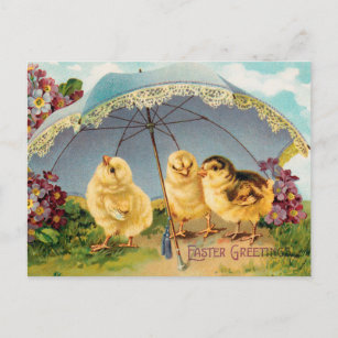 Vintage Easter Cute Chicks under a Parasol Postcard