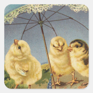 Vintage Easter Cute Chicks under a Parasol Square Sticker