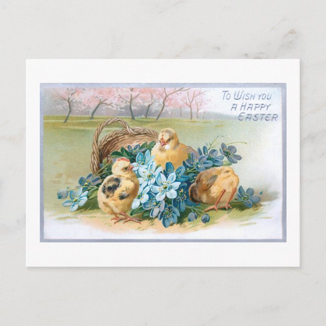 Vintage Easter Floral with Chicks Postcard (Front)