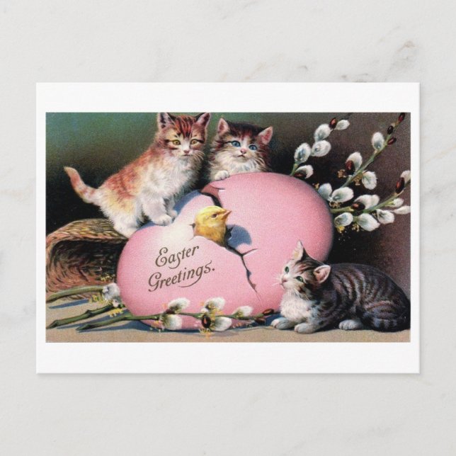 Vintage 'Easter Greetings' Cats & Chick Postcard (Front)
